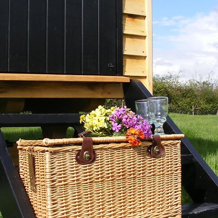 Marshwood Farm B&B And Shepherds Hut Dinton  Exterior foto