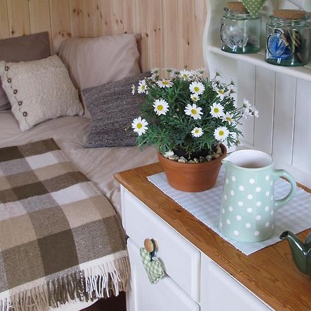 Marshwood Farm B&B And Shepherds Hut Dinton  Exterior foto
